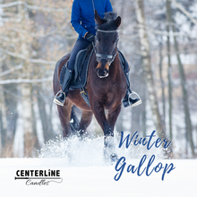 Load image into Gallery viewer, Winter Gallop