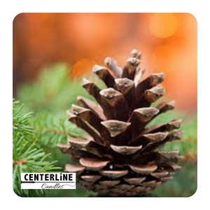 Roasted Pine Cone