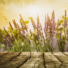 Load image into Gallery viewer, Soft Cedar &amp; Lavender
