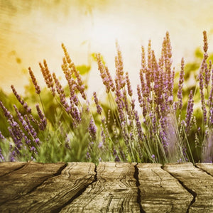 Soft Cedar & Lavender